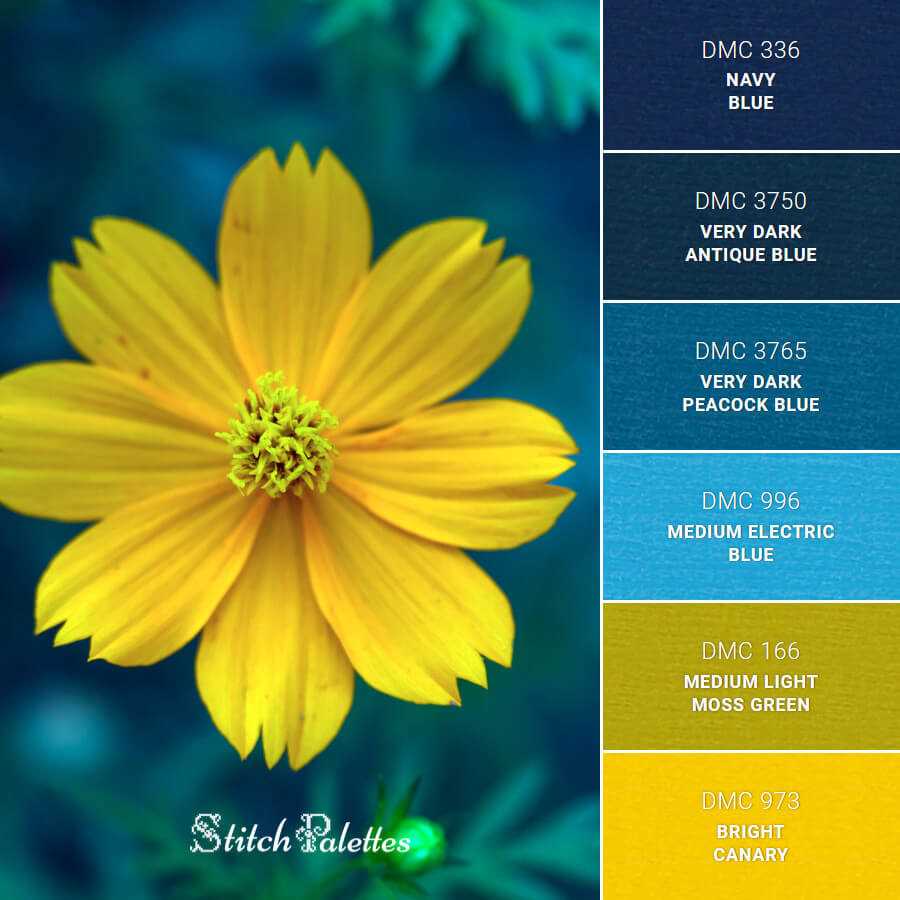 Daisy Colors Exploring the Vibrant Palette of Nature's Favorite Flower