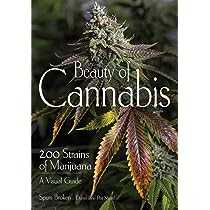 Explore the Beauty of Cannabis