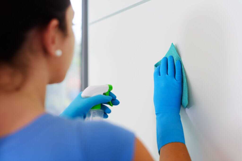 Step by Step Guide How To Clean Flat Paint Walls Effectively Styves 