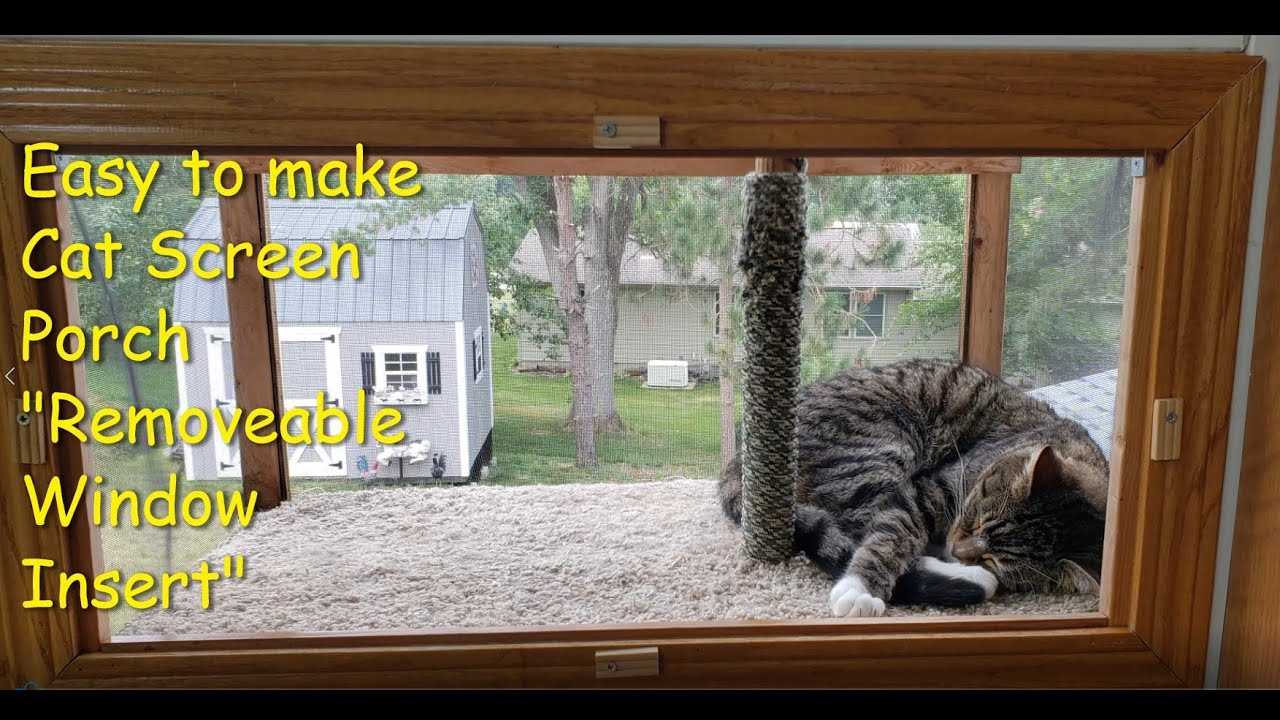 Discover the Benefits of a Cat Window Box for Your Feline Friend