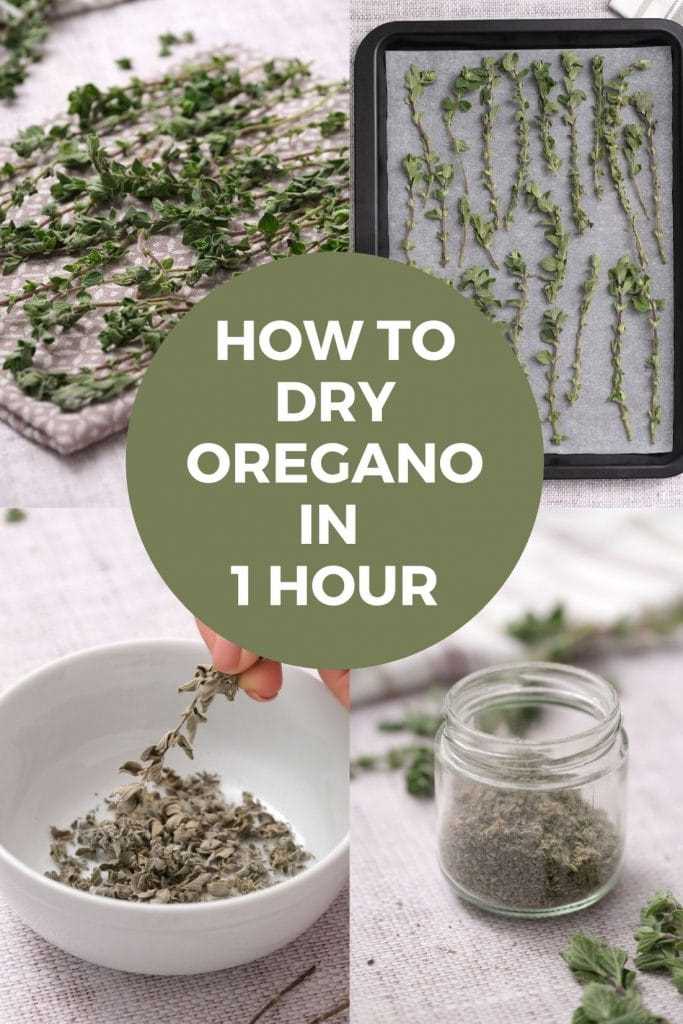 How to Properly Store Dry Oregano