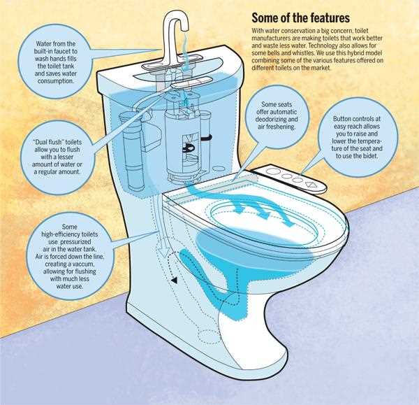 Dual Flush Toilet Saving Water and Money with Efficient Flushing