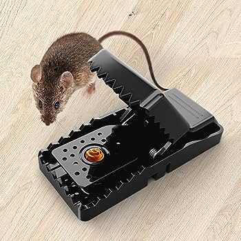 The Benefits of Electric Mouse Traps