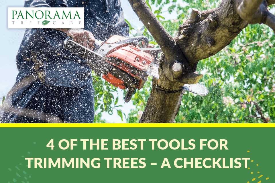Types of Essential Tree Cutting Tools