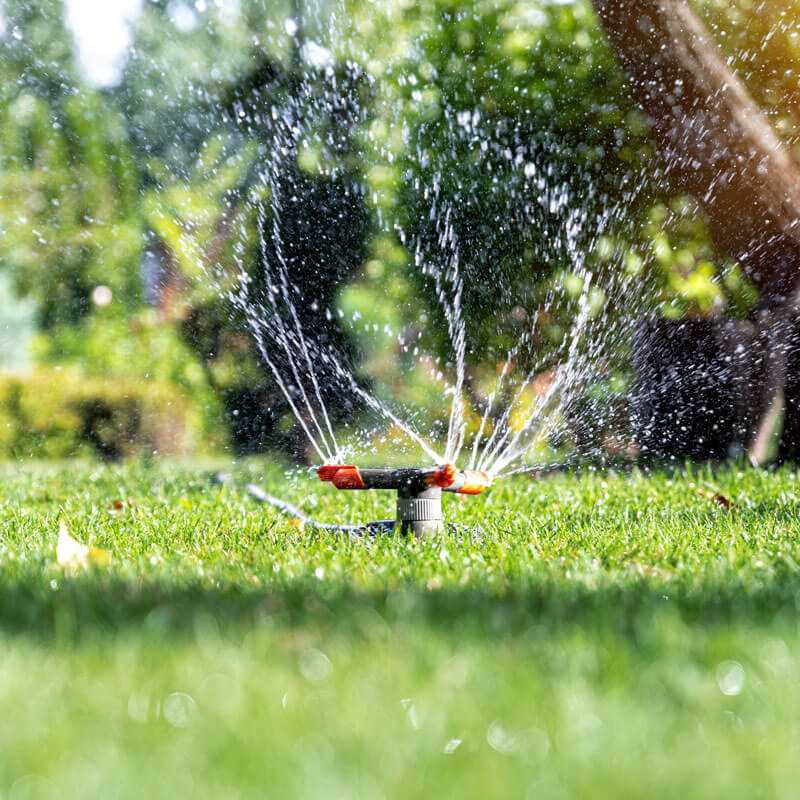 Expert Sprinkler Repair Services for a Lush and Beautiful Lawn | YourSiteName