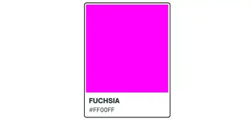 Shades of Fuchsia Color