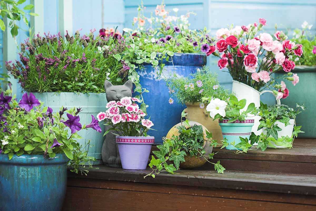 Discover the Beauty and Versatility of Plastic Planters