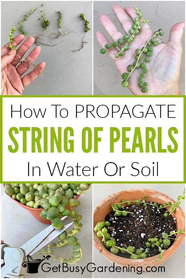 Selecting the Ideal Time for Propagation