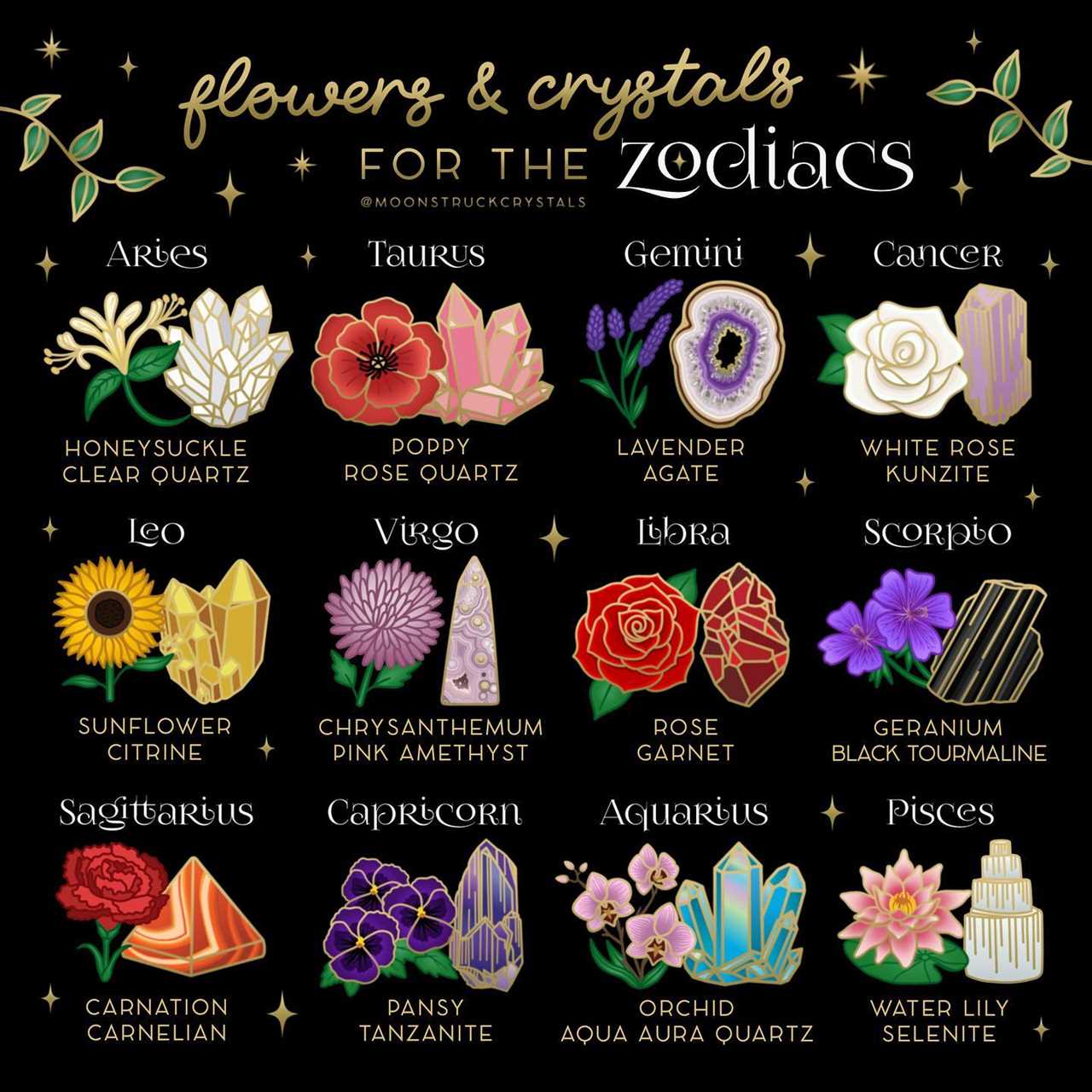 Zodiac Flowers Discover Your Perfect Floral Match
