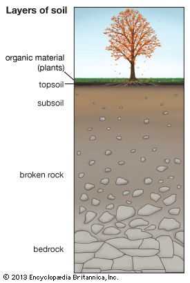 The Importance of Soil Levels
