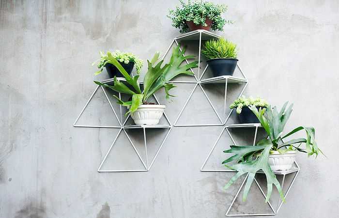 Why Choose Our Wall Planters?
