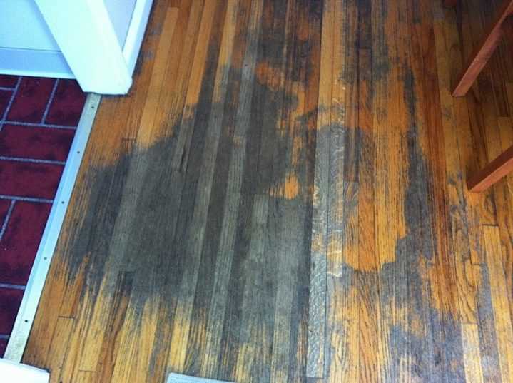 How to Choose the Best Wood Floor Polish A Comprehensive Guide
