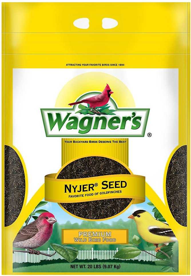 Section 2: Attracting Birds with Nyjer Seed