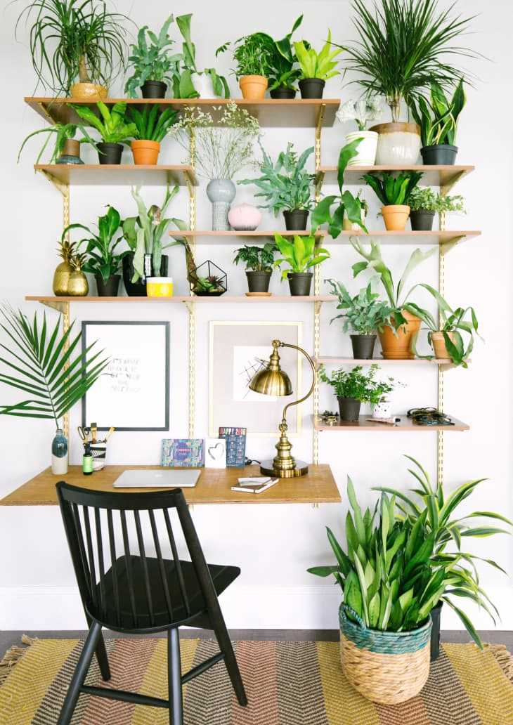 Section 2: Designing Your Plant Room