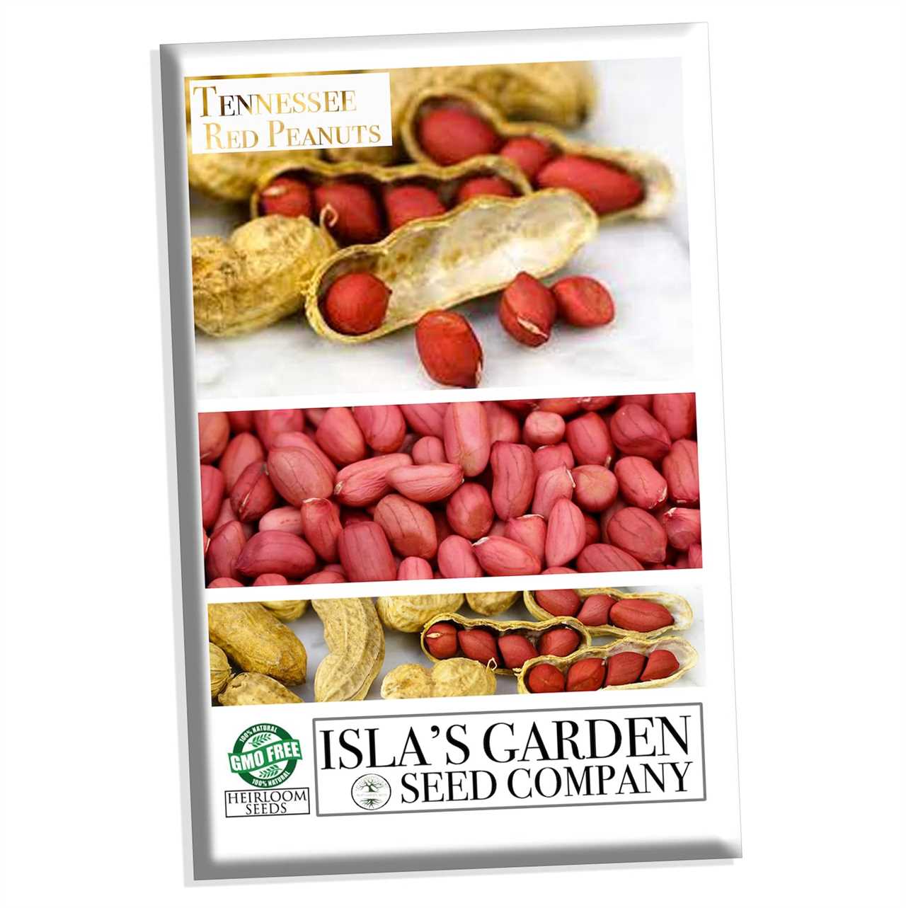 Peanut Seeds Growing Guide and Tips for Successful Cultivation