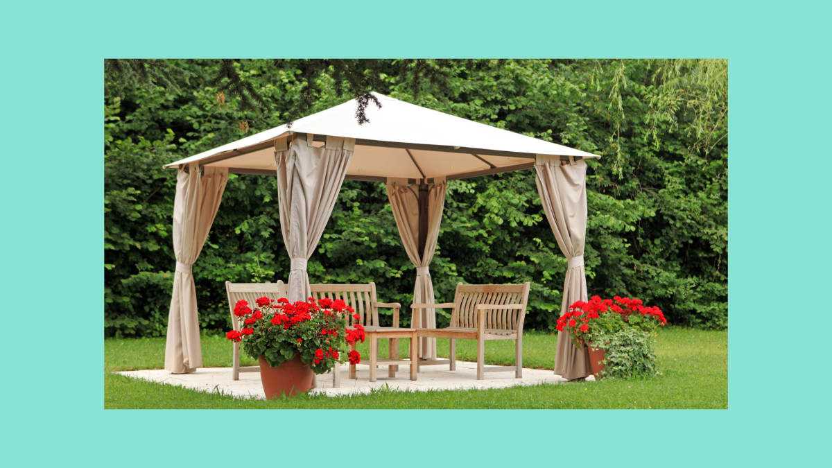 Understanding the Differences