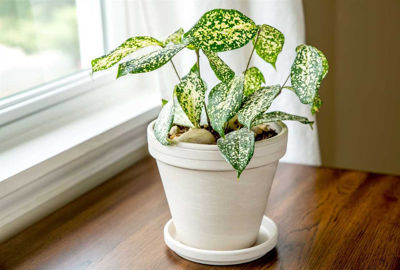 Description and Features