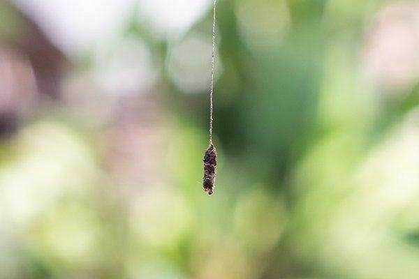 Preferred Environment