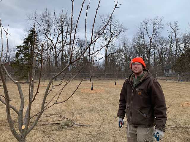 Tree Health Monitoring