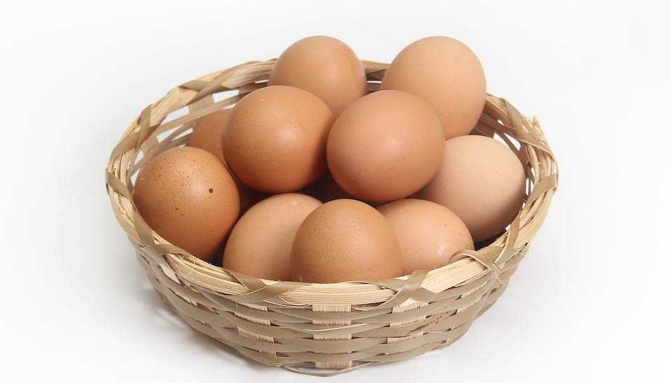 Why Clean and Maintain Your Eggs