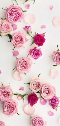 Pink and White Flowers Together