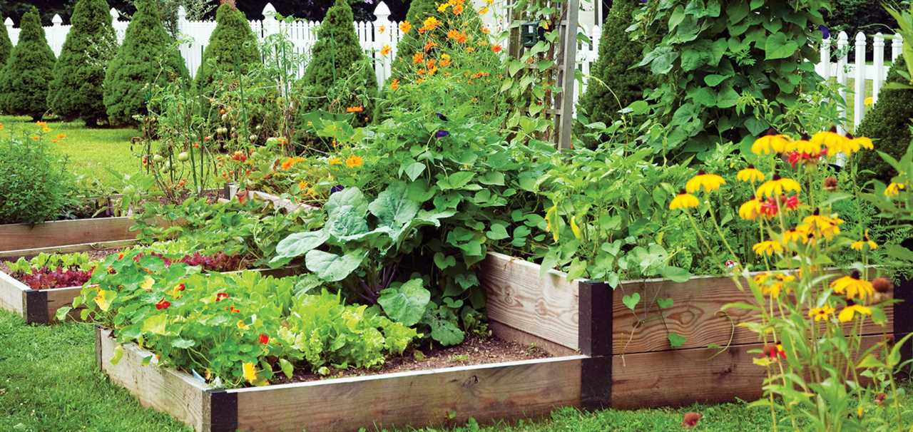 Sweet Potato Companion Plants The Perfect Combinations for a Thriving Garden
