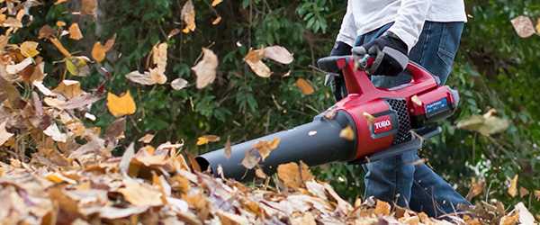 Toro Leaf Blower The Ultimate Guide to Choosing the Best Leaf Blower for Your Yard